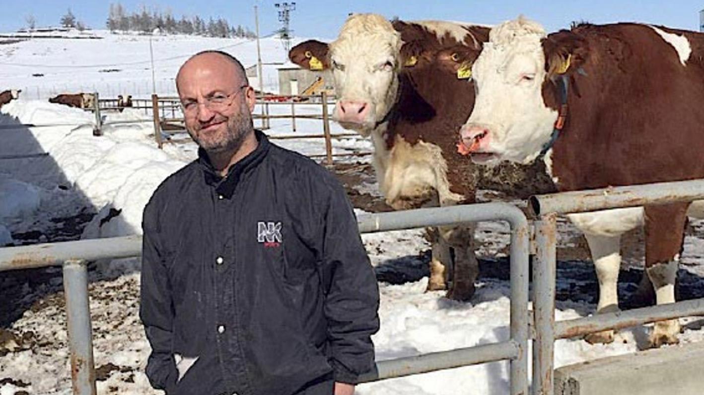 Prof. Dr. Armağan HAYIRLI